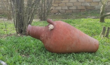 Yuxuda Nehrə görmək