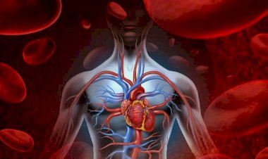 Ürəyi xəstə olanların nəzərinə - Bu qida ömrü azaldır