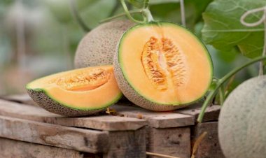 Yemiş bu dərdlərin çarəsi imiş