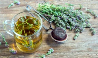 Kəklikotu bu xəstəliklərin dərmanıdır