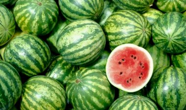 Bu aylarda qarpız yemək olar?