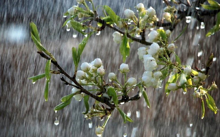 Ölkədə yağıntılı hava şəraiti davam edir, Ağsuya dolu düşüb - FAKTİKİ HAVA