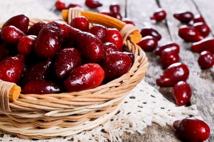 Zoğalın möcüzəvi faydaları