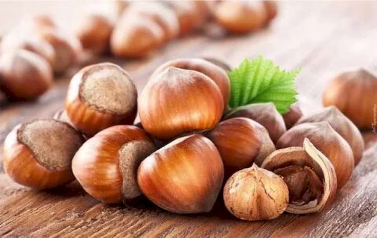 Bu xəstəliyi olanlar hər gün 3-4 fındıq yesin