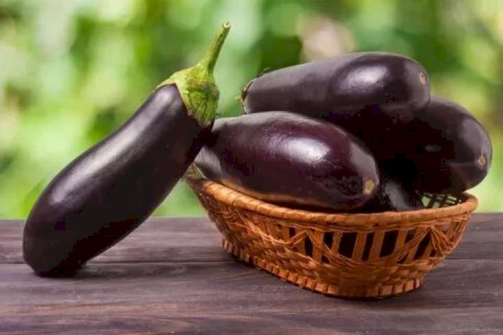 Badımcan bu xəstəliklərin dərmanı imiş